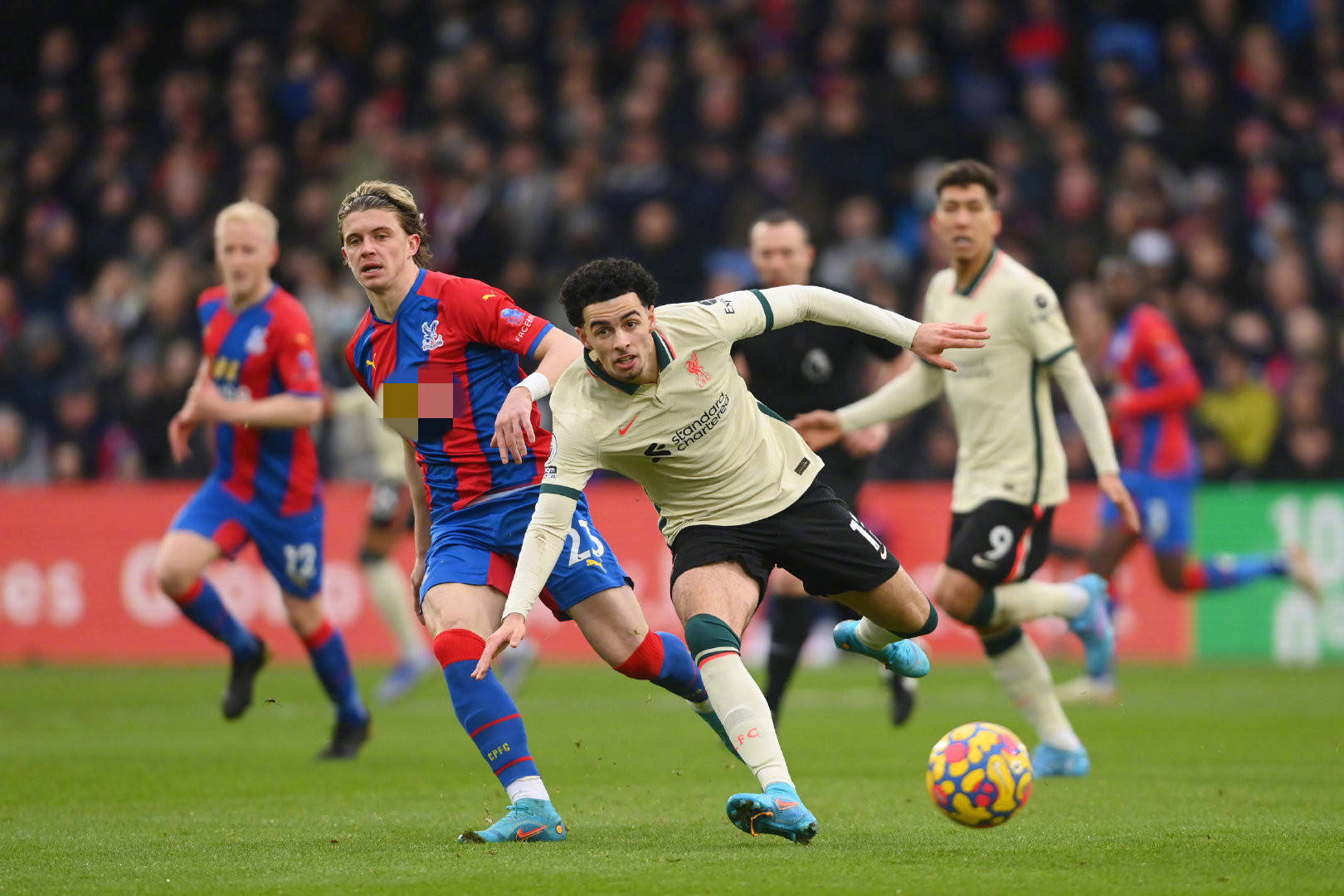 了球迷和评 了球迷和评